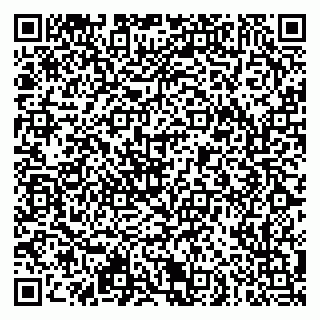 vCard 79951064741