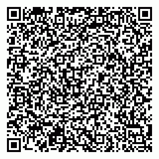 vCard 79951064803