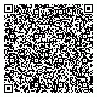 vCard 79951064832