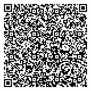 vCard 79951068000