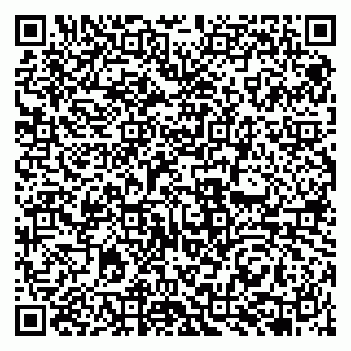 vCard 79951068001