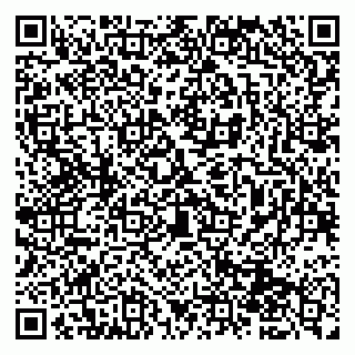vCard 79951068003