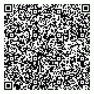 vCard 79951068011