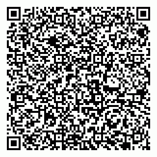 vCard 79951068013