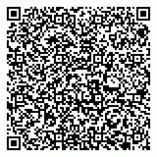 vCard 79951068017