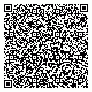 vCard 79951068019
