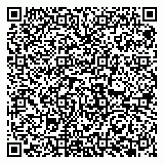 vCard 79951068020