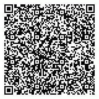 vCard 79951068024