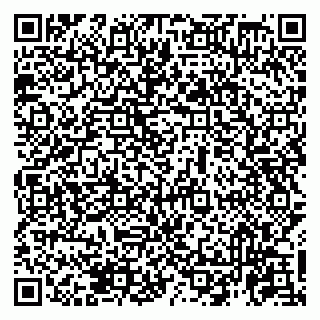 vCard 79951068029
