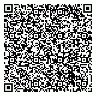vCard 79951068031