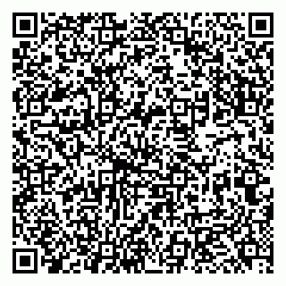 vCard 79951068038