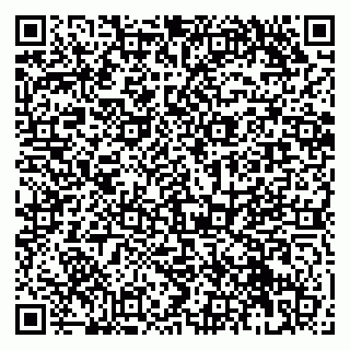 vCard 79951068041
