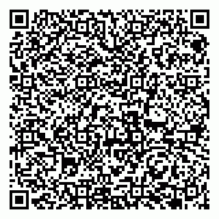 vCard 79951068062