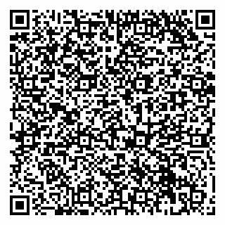 vCard 79951068065