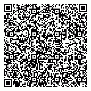 vCard 79951068080
