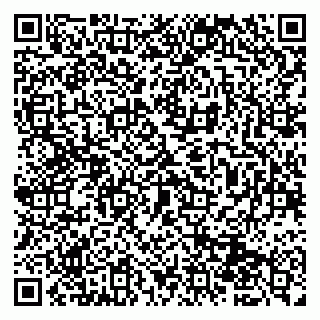 vCard 79951068084