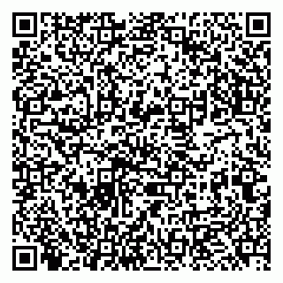 vCard 79951068087