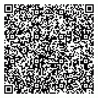vCard 79951068088