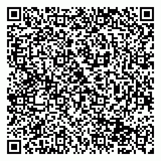 vCard 79951068090