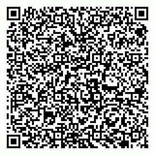vCard 79951068093