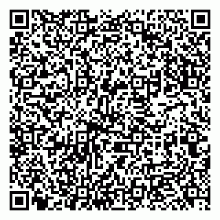 vCard 79951068113