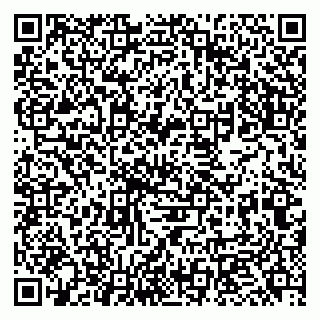 vCard 79951068119