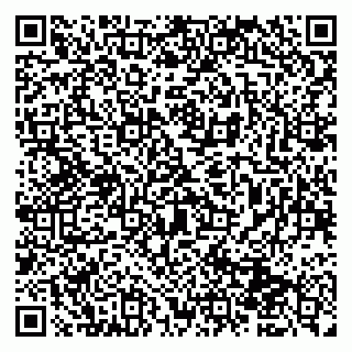vCard 79951068129