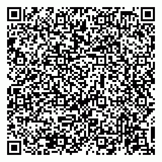 vCard 79951068131