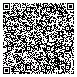 vCard 79951068132