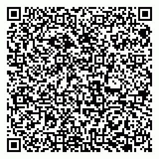 vCard 79951068133