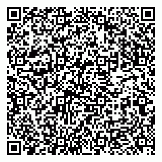 vCard 79951068137