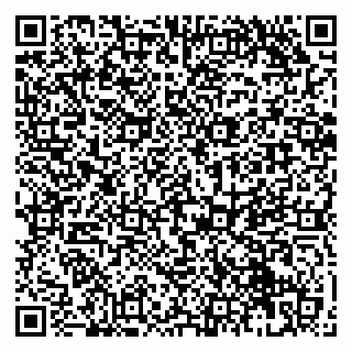 vCard 79951068173