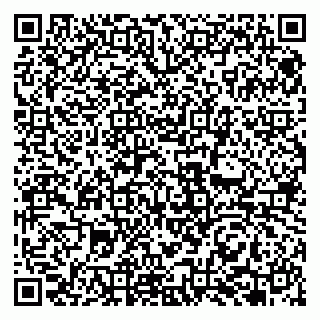 vCard 79951068197