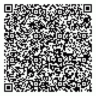 vCard 79951068199