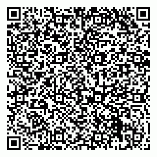 vCard 79951068204