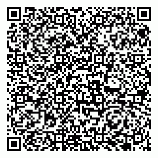 vCard 79951068207