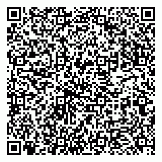vCard 79951068213