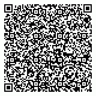 vCard 79951068217