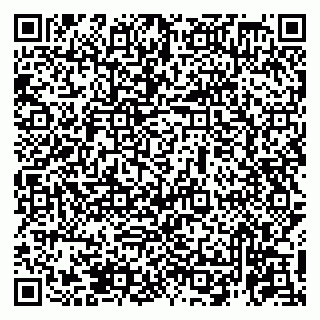 vCard 79951068219