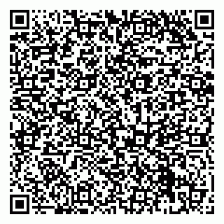 vCard 79951068253