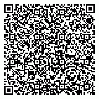 vCard 79951068254