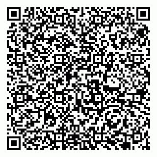 vCard 79951068265
