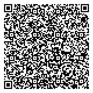 vCard 79951068288