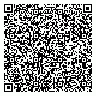 vCard 79951068295