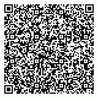 vCard 79951068298