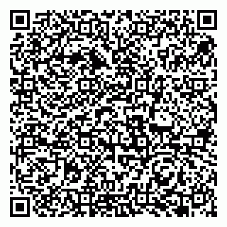 vCard 79951068299