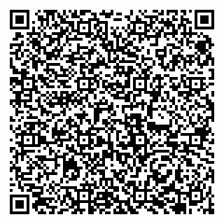 vCard 79951068300