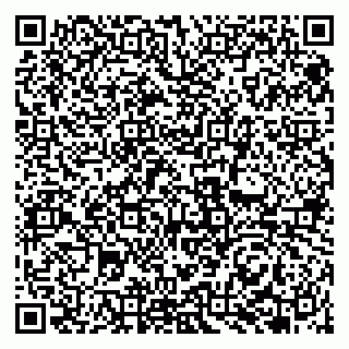 vCard 79951068301