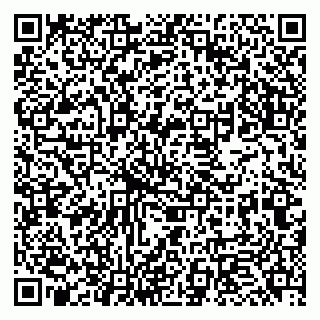 vCard 79951068303