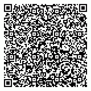 vCard 79951068304
